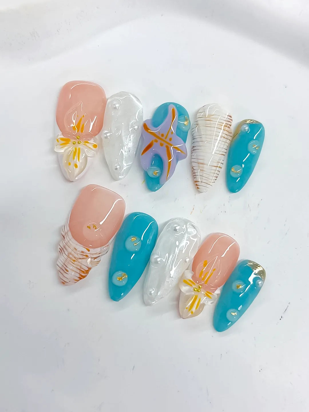 D488 - Medium Nude Blue Almond Abstract Starfish Shell