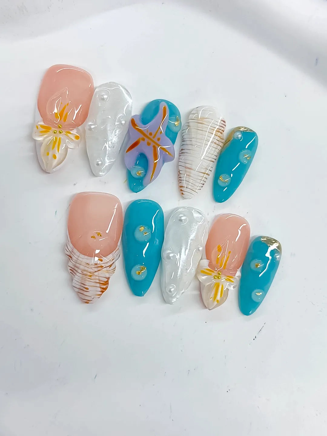 D488 - Medium Nude Blue Almond Abstract Starfish Shell