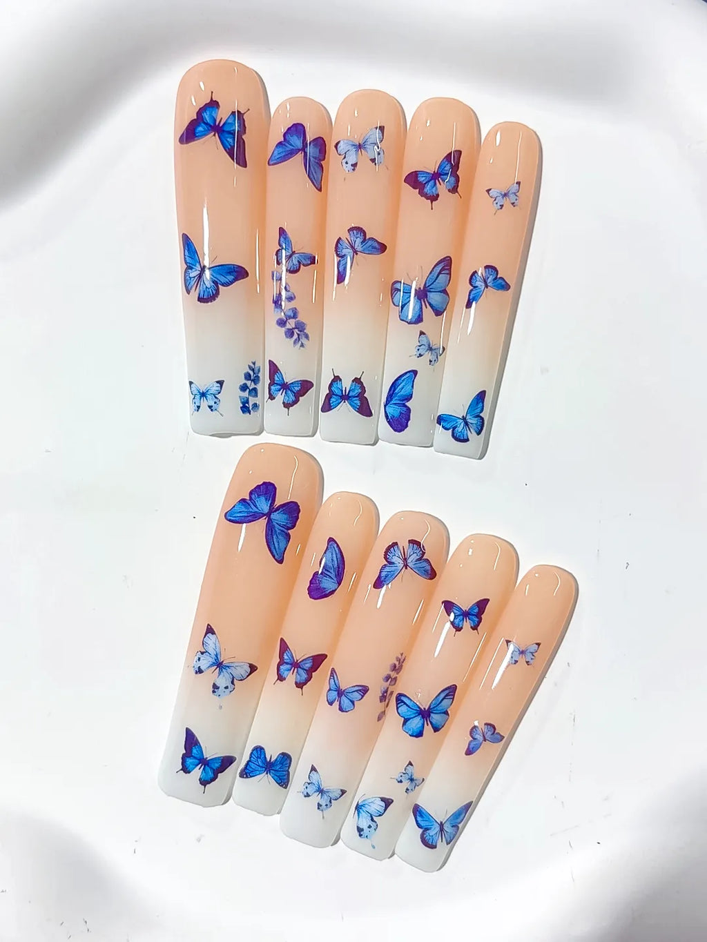 L140 - Long Nude Blue Square Solid color Butterfly