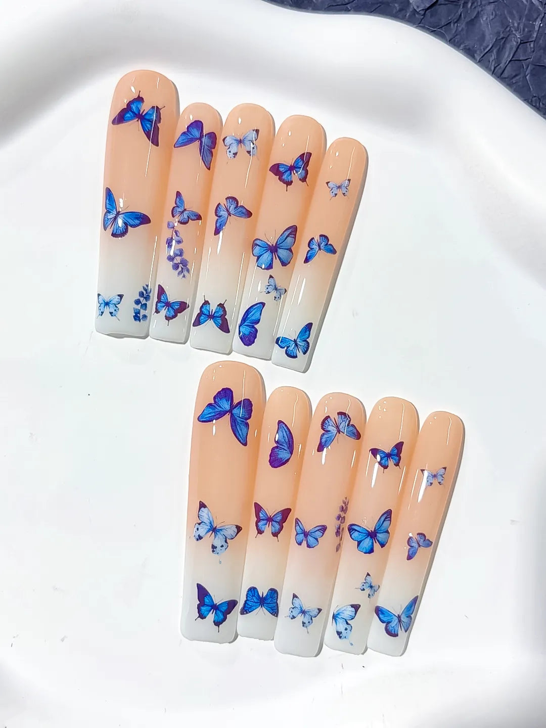 L140 - Long Nude Blue Square Solid color Butterfly
